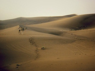 IMG_0003.jpg