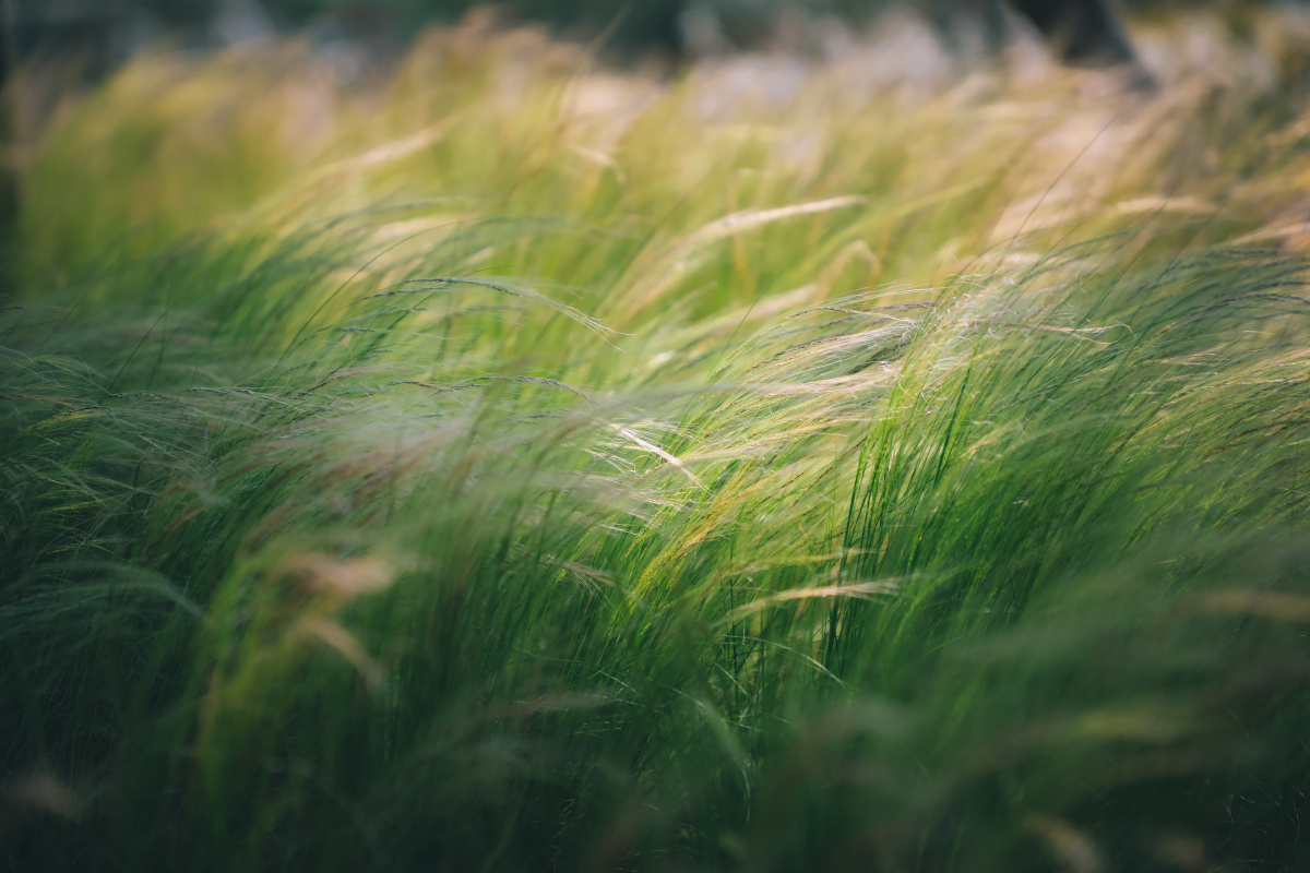 2021五一节游扬州世界园艺博览会