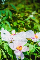 5555-24