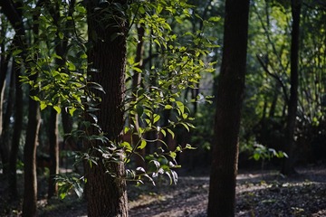 19975