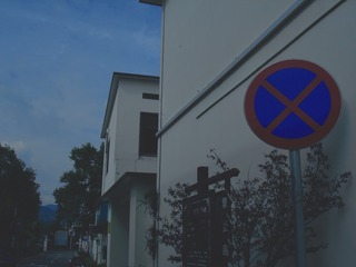 Optional(