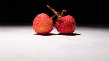 33ED3D7D-2144-4D68-B9B9-90341AE00EF3/L0/001