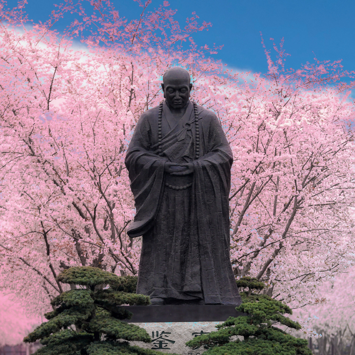 鉴真图书馆樱花季