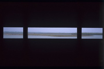 杭州湾湿地公园