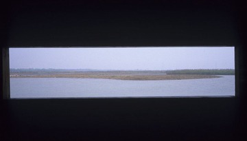 杭州湾湿地公园