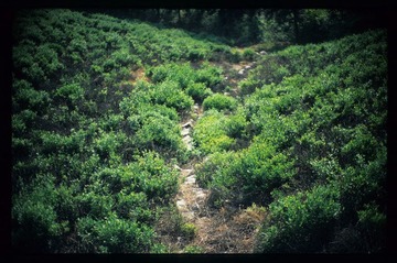 Image14_1