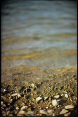 Image1_1