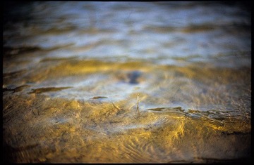Image2