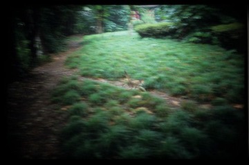 Image10