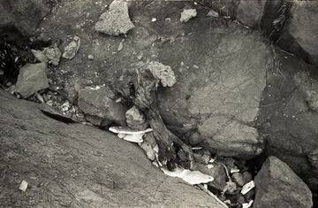 Image30_1