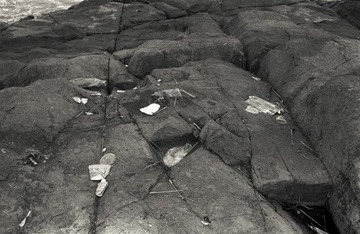 Image33_1