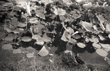 Image20_1