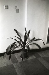 Image45
