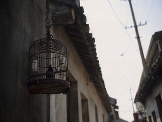 Image16