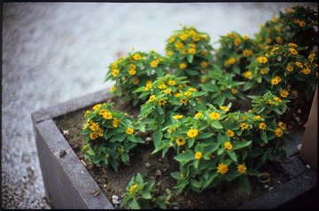 Image7