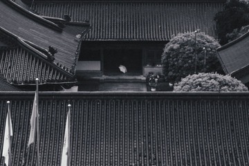 45748