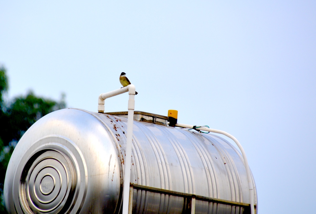 农村房顶水箱老家摄影一个人的摄影