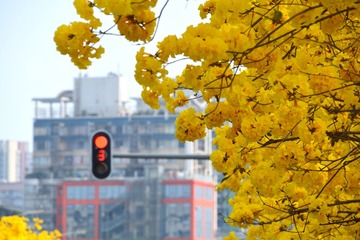 5B7964BB-5E2B-4107-AABC-9C5620F78253/L0/001