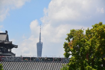 180294