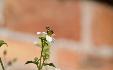 B5905F40-343F-4175-8D88-B99811F6D71D/L0/001