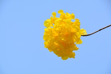 BB1F6EE4-0650-4A5B-A5E5-04EB93913072/L0/001