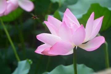 162050