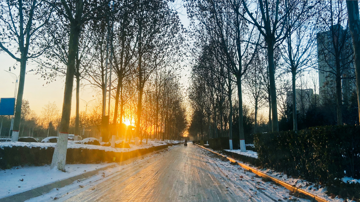 雪后清晨