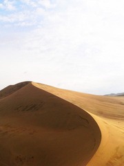 P1070401