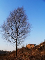 P10900610