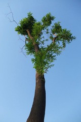 DSCF6687m