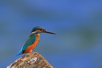 1063184