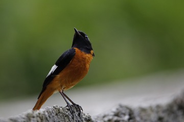 366381