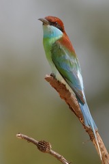 366619