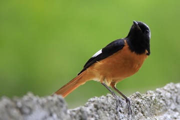 366371