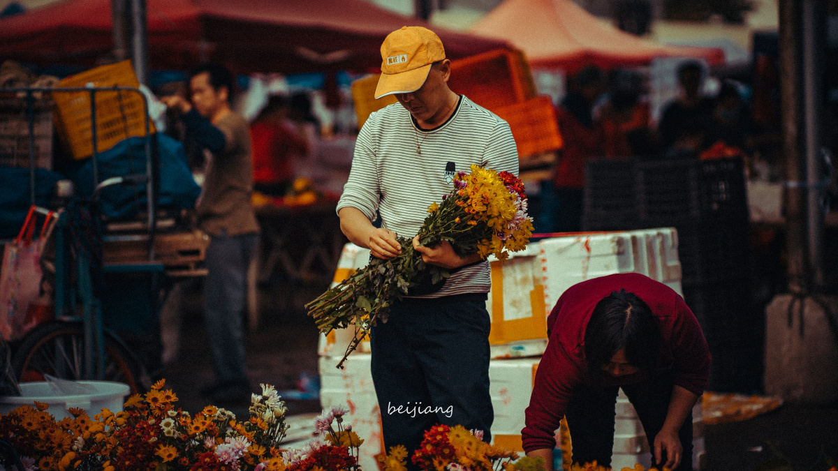 徒手剥开的橘子散发香气 - 猫薄荷北江 - 图虫