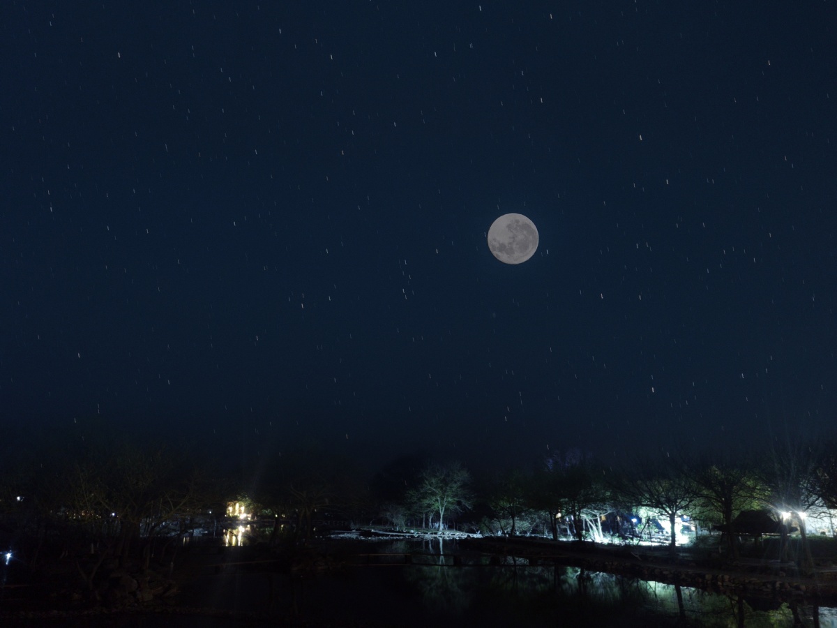 2021年3月31日拉黑1青茗摄影月亮是配上去的,夜景用手机专业模式拍