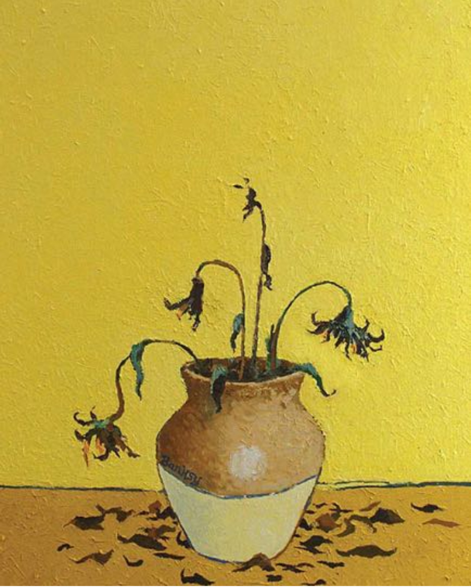 枯萎的向日葵deadflowers