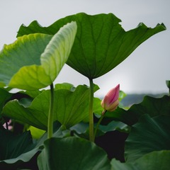 001