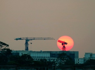 20314