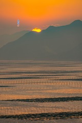 1000148803