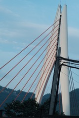 Optional("8C56A14E-3950-4406-B92B-FEB3AC767D9E/L0/001")