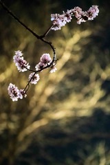 9FE0142E-CF86-4DDF-A491-72C5DB4361F3/L0/001