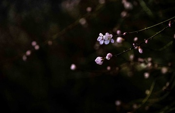 D0EB1EA0-5F2C-4452-BEE6-7784AB0FF9E1/L0/001