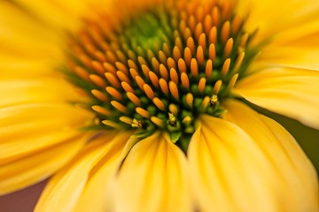 E982B798-8C34-4F85-9957-D423FCF124CE/L0/001