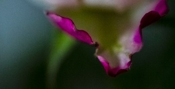 521C5880-F948-4EFB-8514-2BC07D8A767F/L0/001