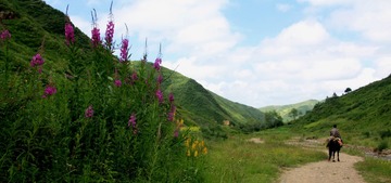 IMG_0239~01
