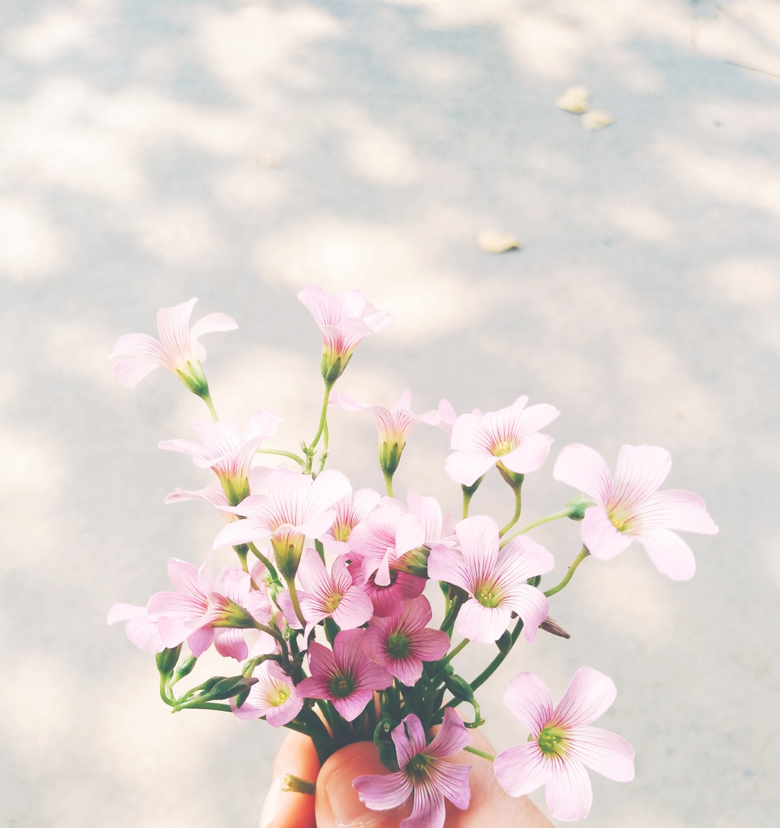 阳光明媚心情好