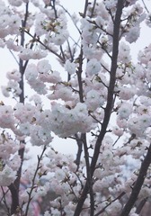 351A4731-F3D0-4B61-8F37-F6743C20D76F/L0/001