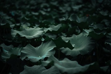 EEDF5E99-CE5D-4921-B579-D1F38F6AF4EA/L0/001