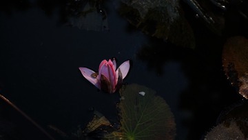 A2C02942-8085-49C4-A799-5DB6EFA8C9FD/L0/001